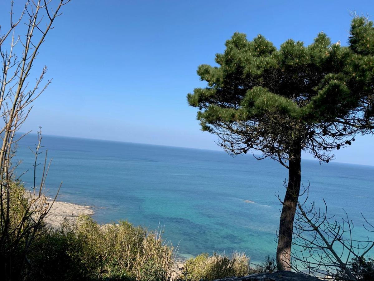 Chausey, Vue Sur Le Port Appartement *